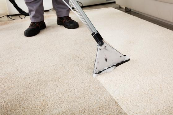 carpet cleaning services buffalo ny