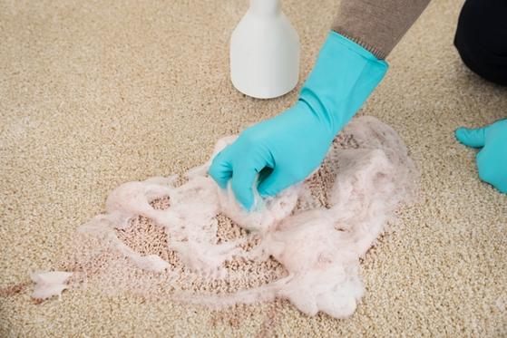 rug cleaners buffalo ny